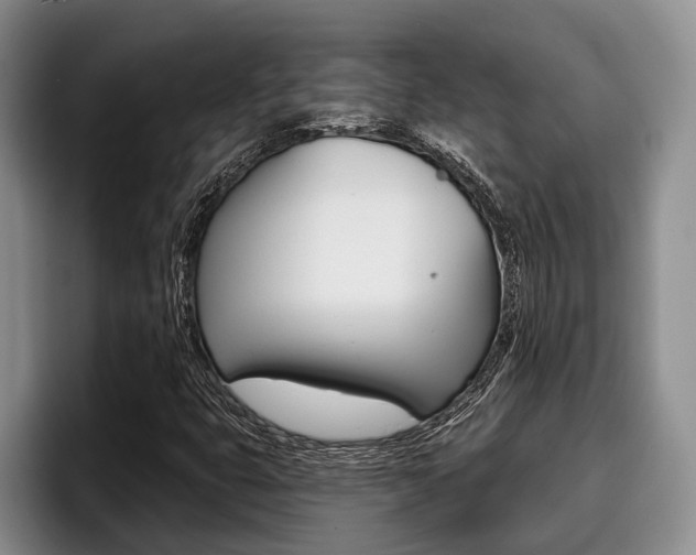 X0000096211399200801181000
