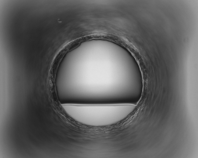 X0000096211400200801181000