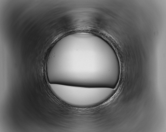 X0000096211401200801181000