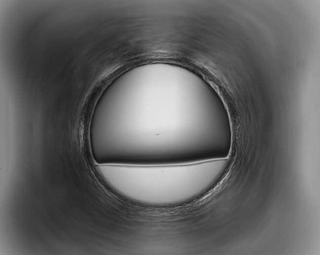 X0000096211402200801181000