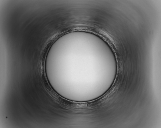 X0000096211403200801181000