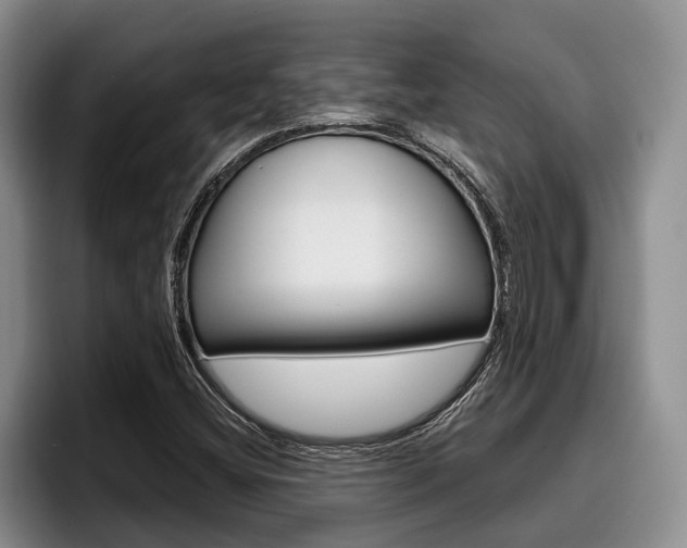 X0000096211404200801181000