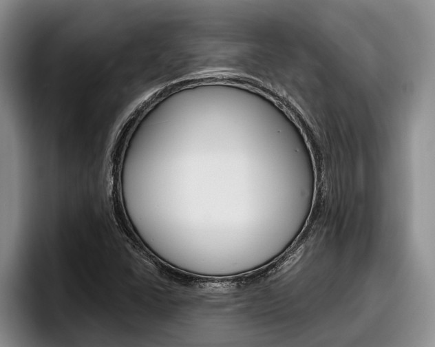 X0000096211406200801181000