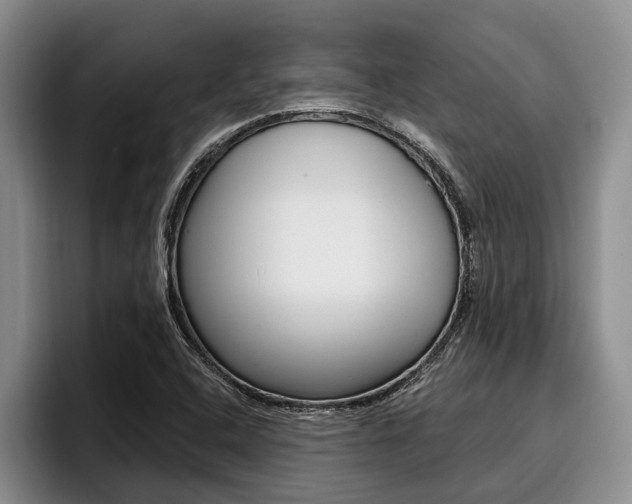 X0000096211408200801181000