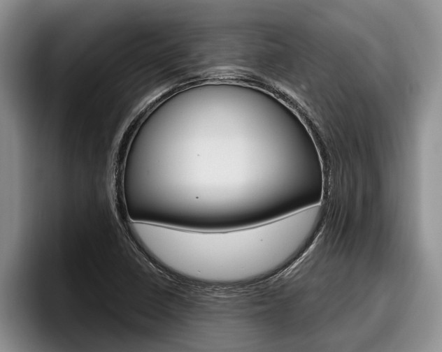 X0000096211410200801181000