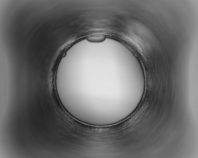 X0000096211411200801181000