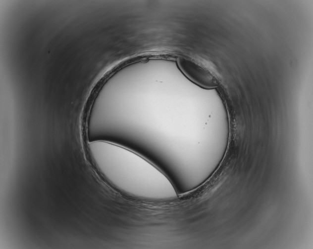X0000096211412200801181000