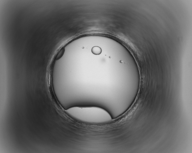 X0000096211413200801181000