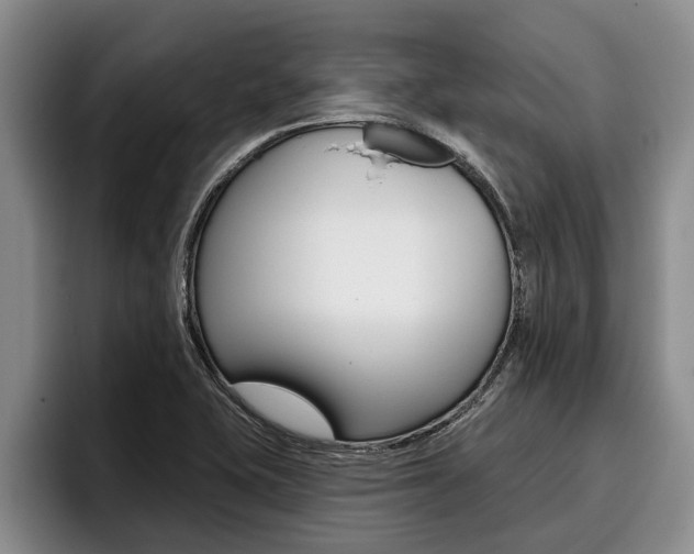 X0000096211415200801181000