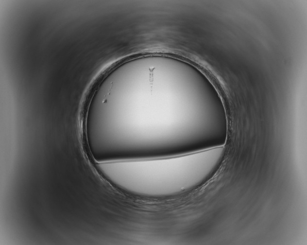 X0000096211416200801181000