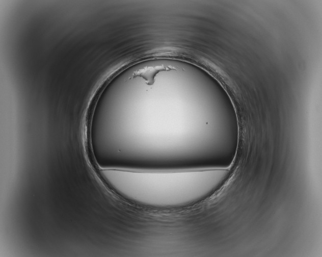 X0000096211418200801181000