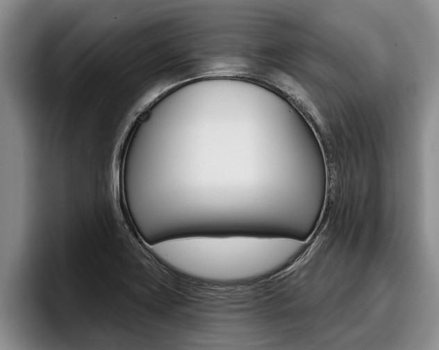 X0000096211419200801181000