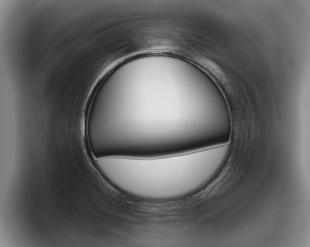 X0000096211420200801181000
