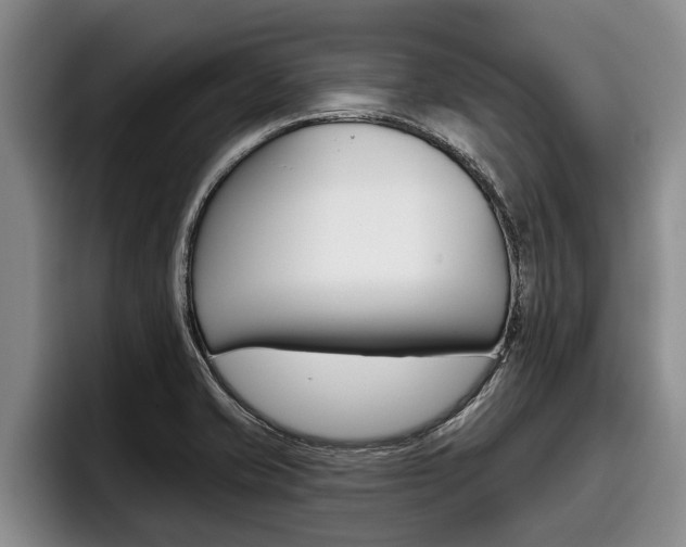 X0000096211421200801181000