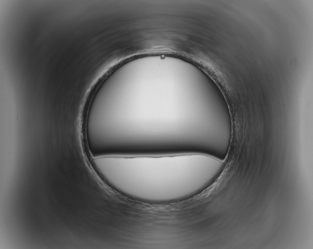 X0000096211422200801181000