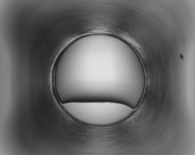 X0000096211423200801181000