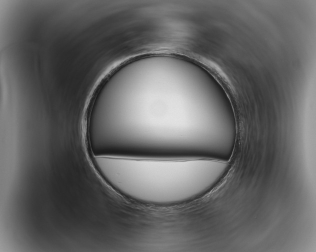 X0000096211424200801181000