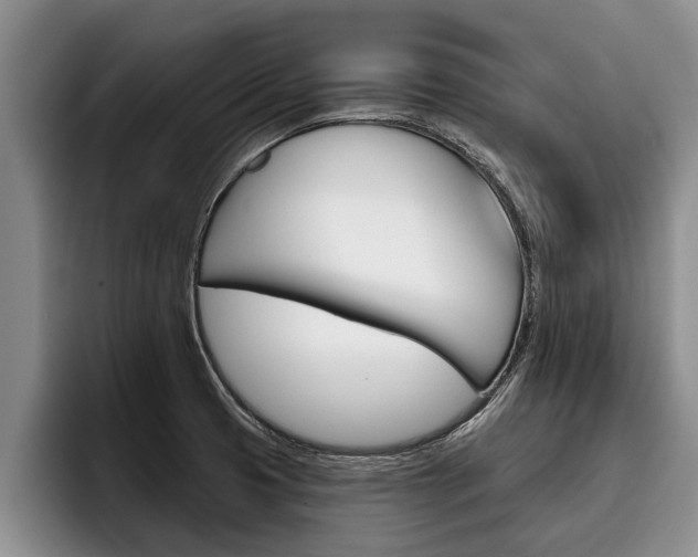 X0000096211425200801181000