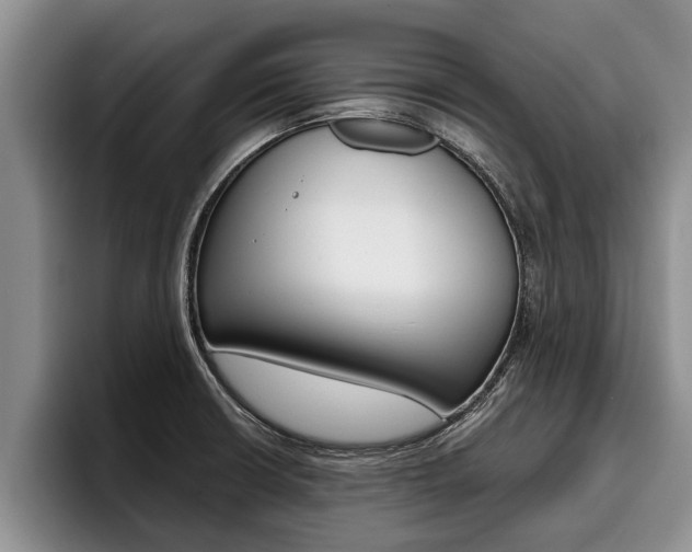 X0000096211426200801181000