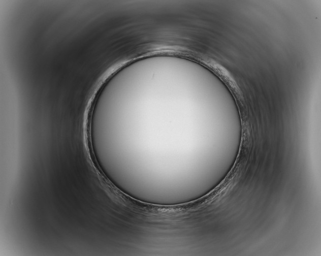 X0000096211427200801181000