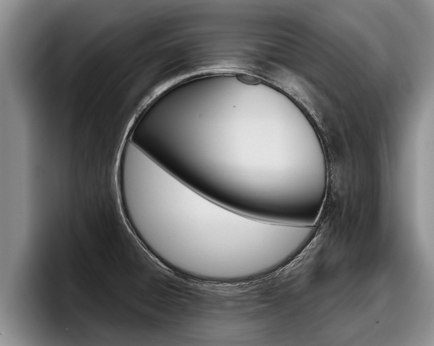 X0000096211428200801181000