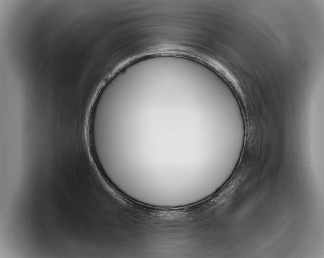 X0000096211429200801181000