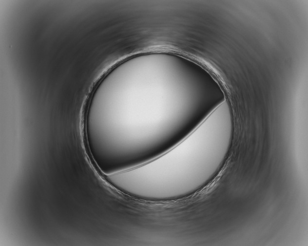 X0000096211430200801181000