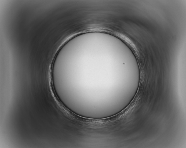 X0000096211431200801181000