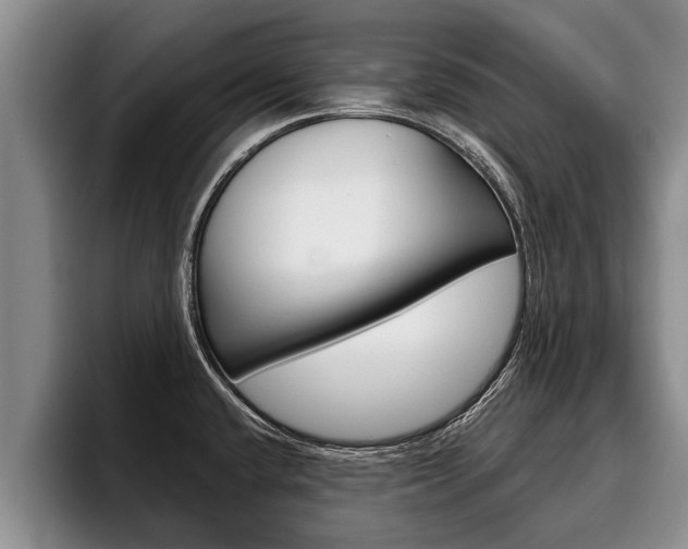 X0000096211432200801181000