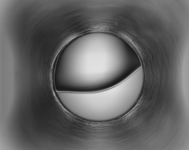 X0000096211434200801181000