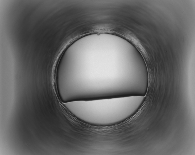 X0000096211435200801181000