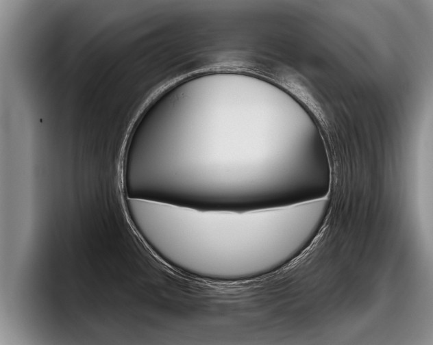X0000096211436200801181000