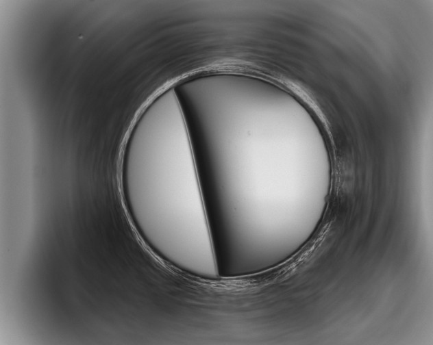X0000096211437200801181000