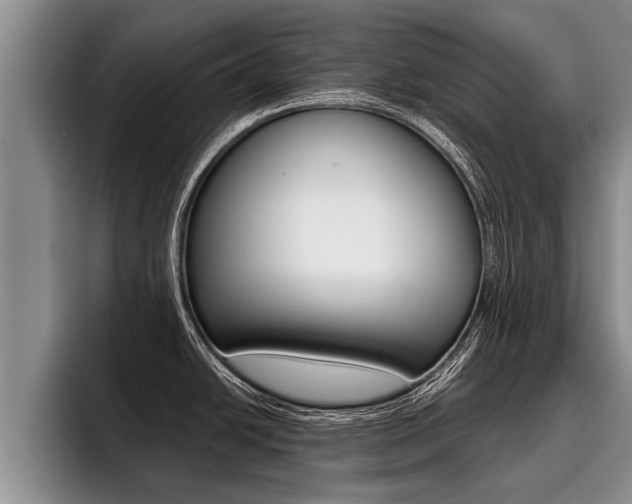 X0000096211438200801181000