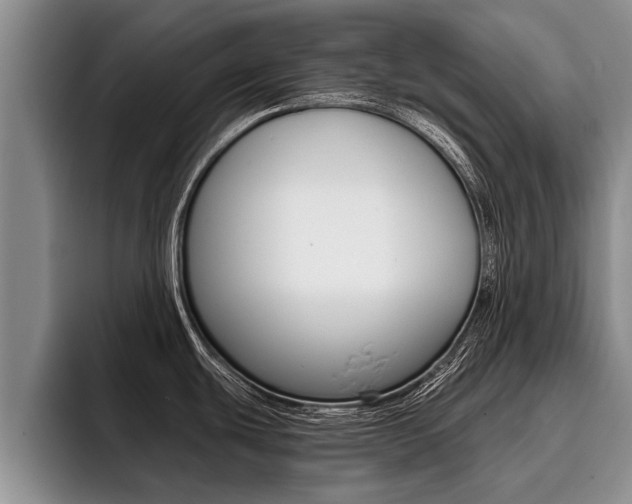 X0000096211439200801181000