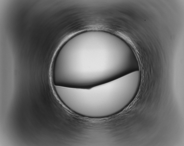 X0000096211440200801181000