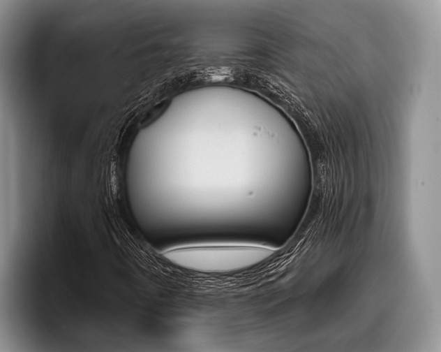 X0000096211442200801181000