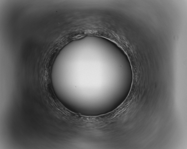 X0000096211445200801181000