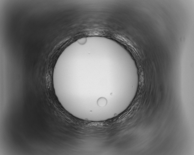 X0000096211446200801181000
