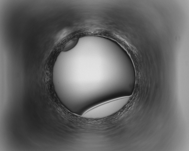 X0000096211447200801181000