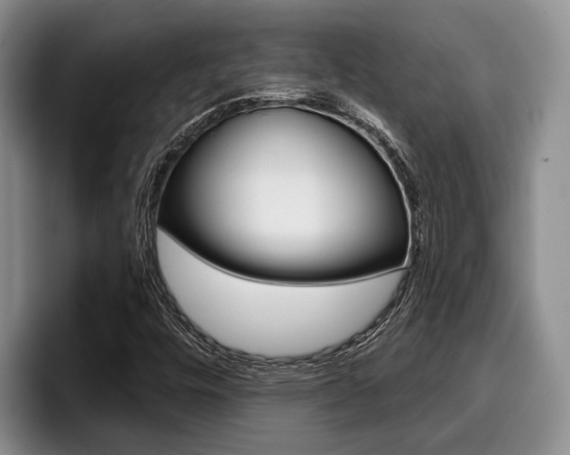 X0000096211448200801181000