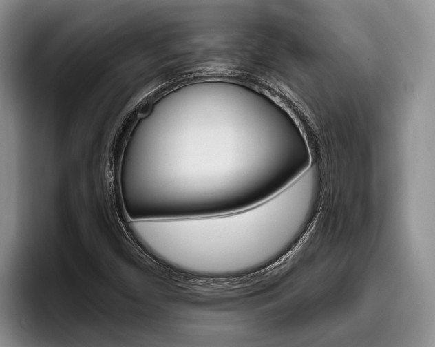 X0000096211450200801181000