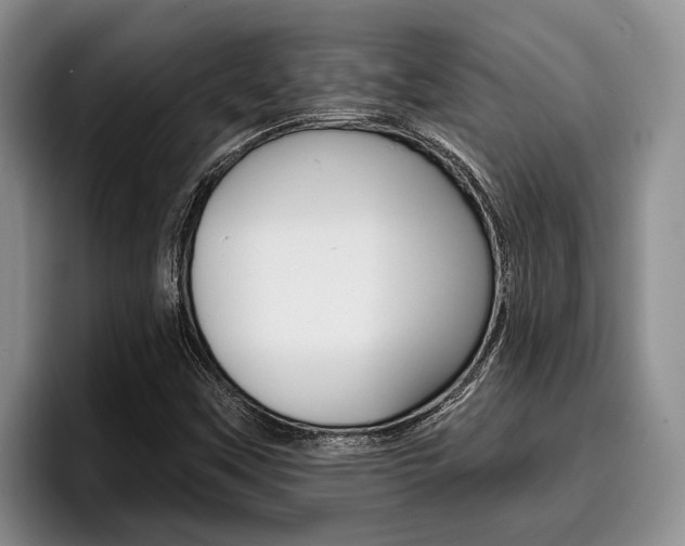 X0000096211451200801181000