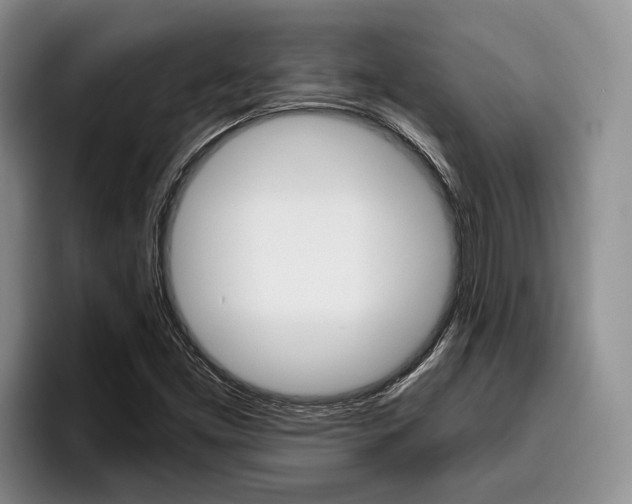 X0000096211453200801181000