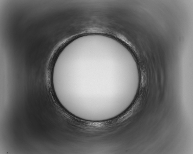 X0000096211454200801181000