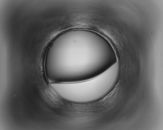 X0000096211455200801181000
