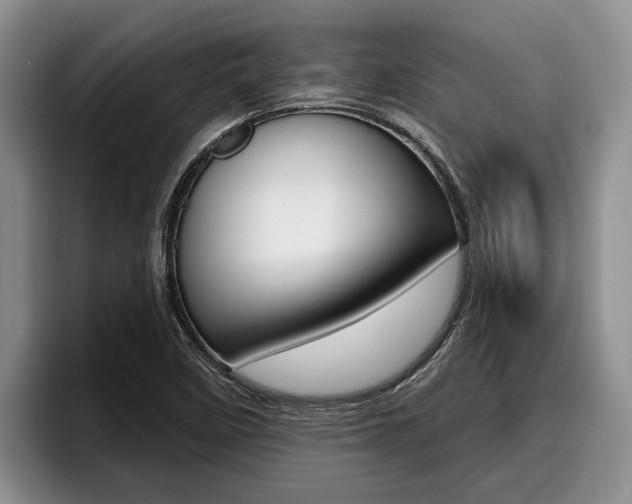 X0000096211458200801180959