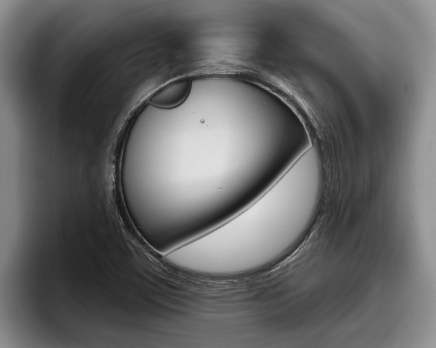 X0000096211459200801180959
