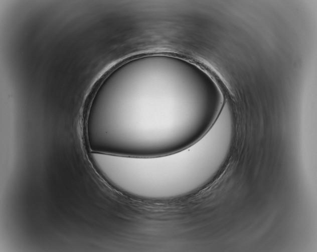 X0000096211460200801180959