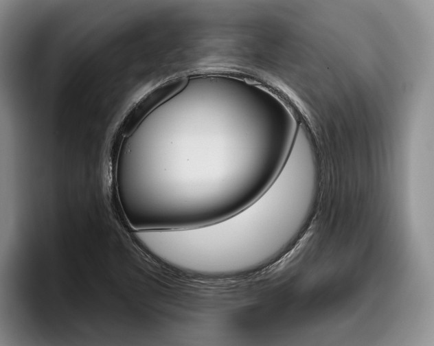 X0000096211461200801180959